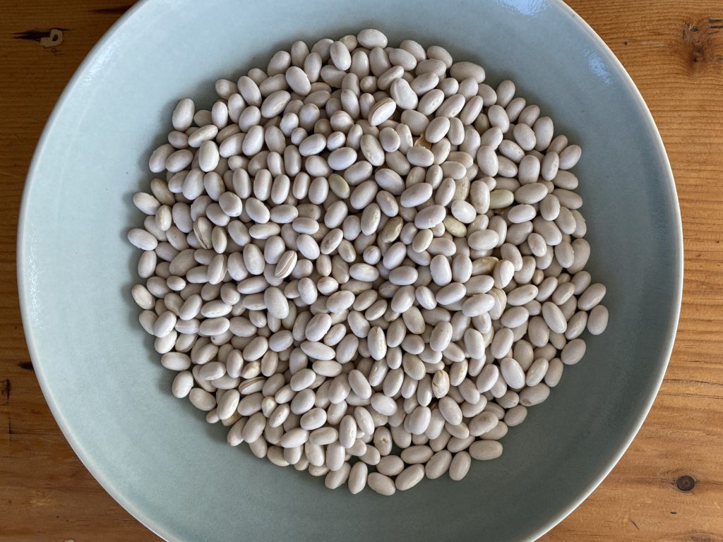 organic white beans - Jacobs Cattle