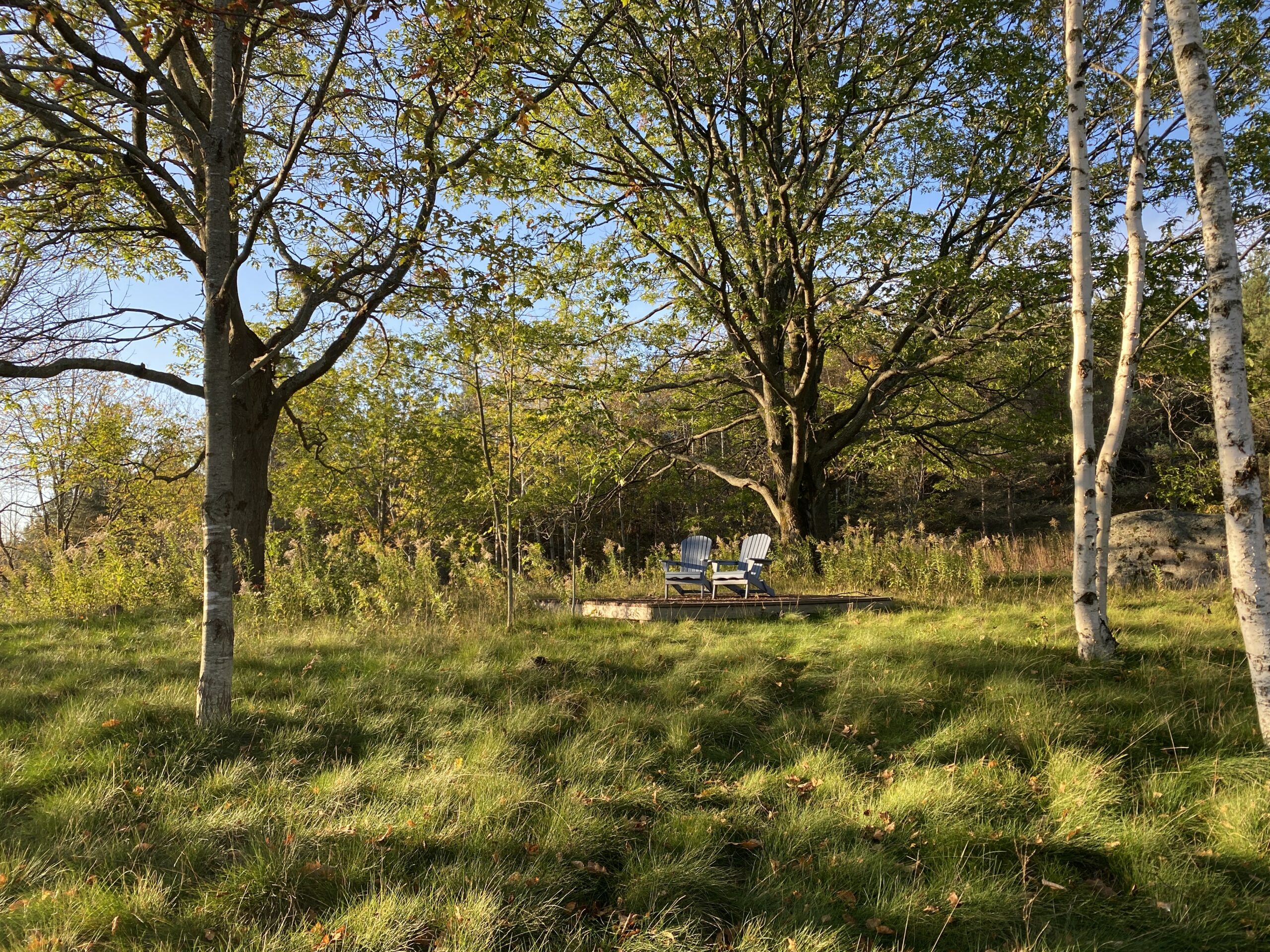 the ballyduff trails - habits