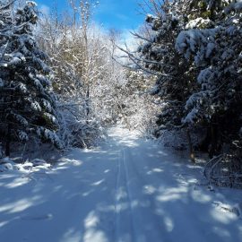 Ballyduff Trails