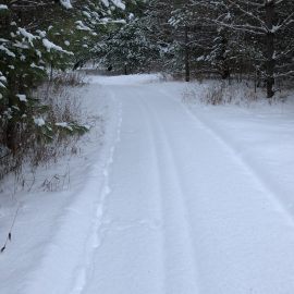 Ballyduff Trails