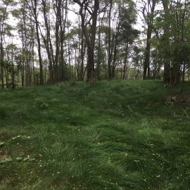 Ballyduff Trails