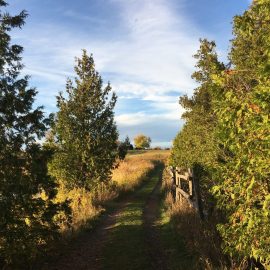 Ballyduff Trails