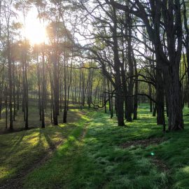 Ballyduff Trails