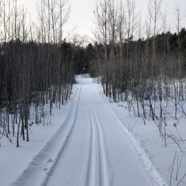 Ballyduff Trails