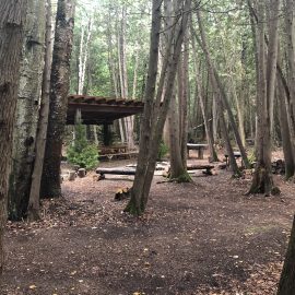 Cedar Grove