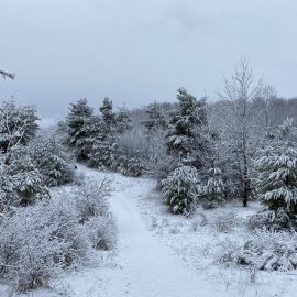 Ballyduff Trails