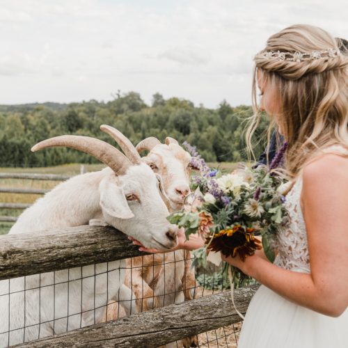 Weddings - Book your farm wedding at South Pond Farms