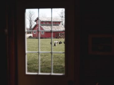 South Pond Farms